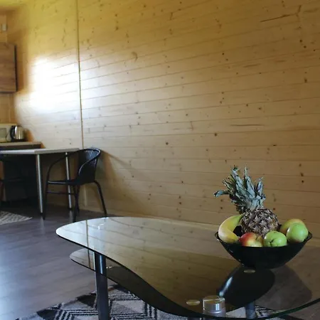 Studio Holiday In Дом отдыха Колчево